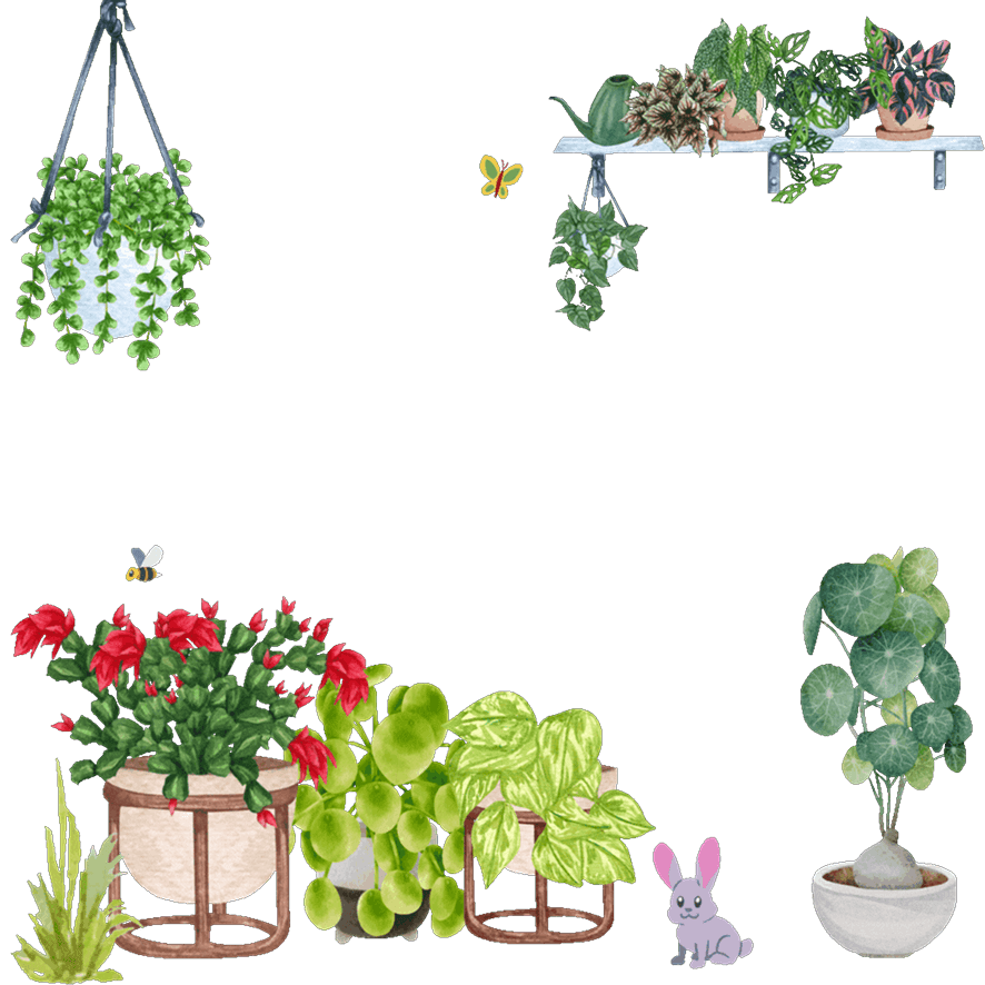 Plants Illustration